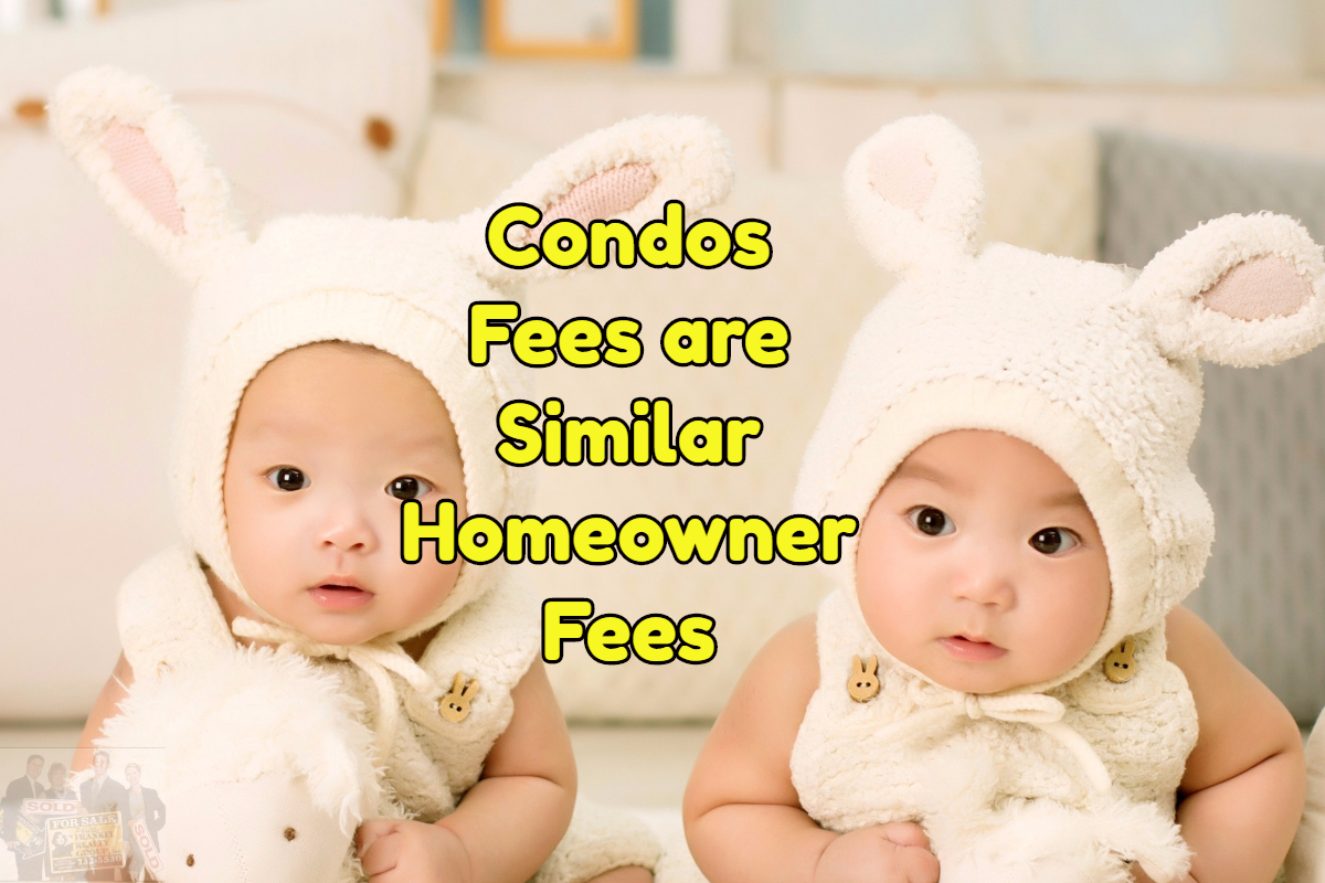 condo fees are similar to housing fees
